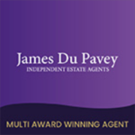 James Du Pavey Independent Estate Agents, Stone logo